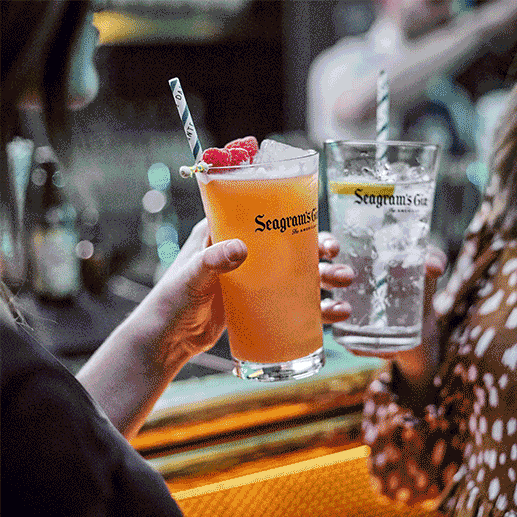 Seagram's Gin - Design d'objets